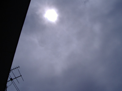 �o��������B